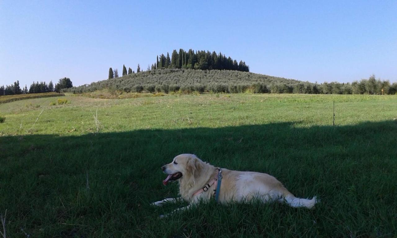 Dolce Cuore Luxe Apartment Chianti Florence Male Romantyczne Mieszkanie San Donato in Poggio Εξωτερικό φωτογραφία